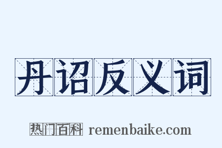 丹诏反义词是什么意思的图片